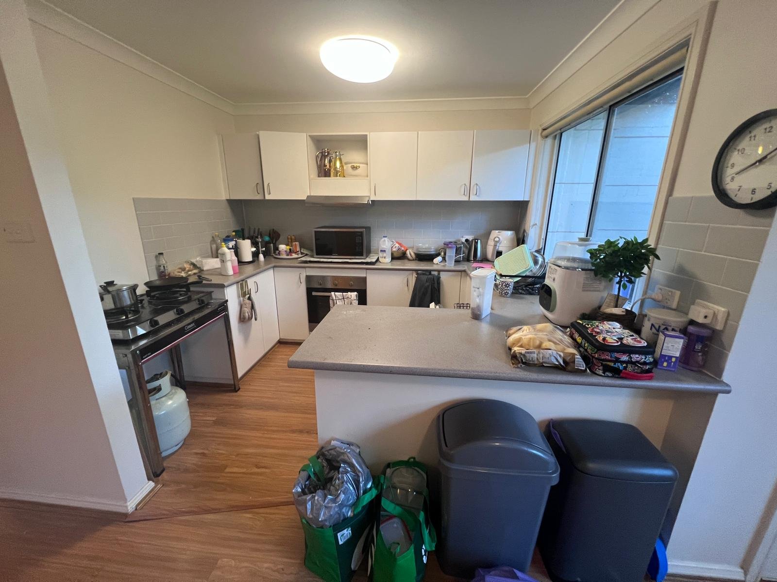 Professional cleaners Sydney